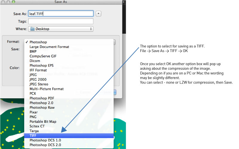 Creating and saving files for print Next State