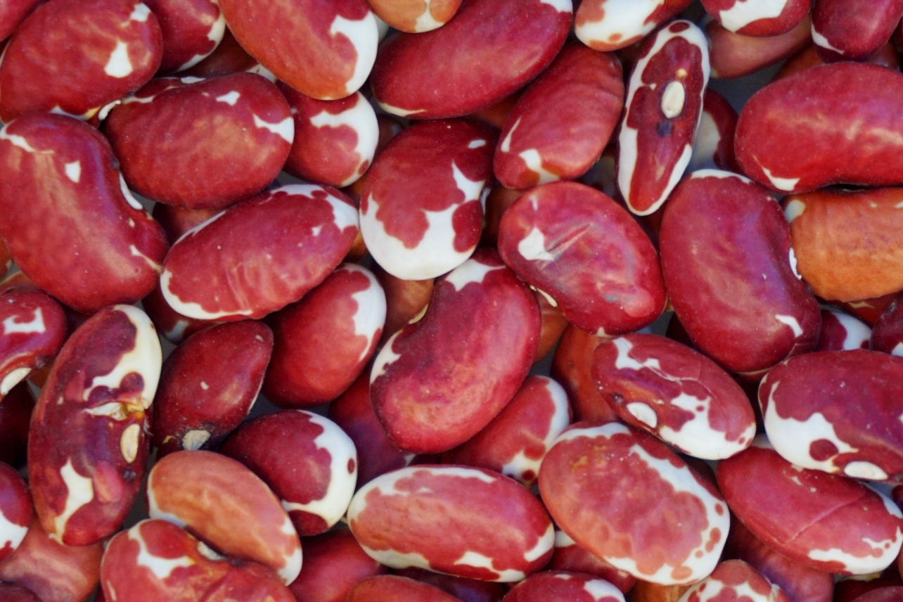 Dry Beans NEXT STEP PRODUCE