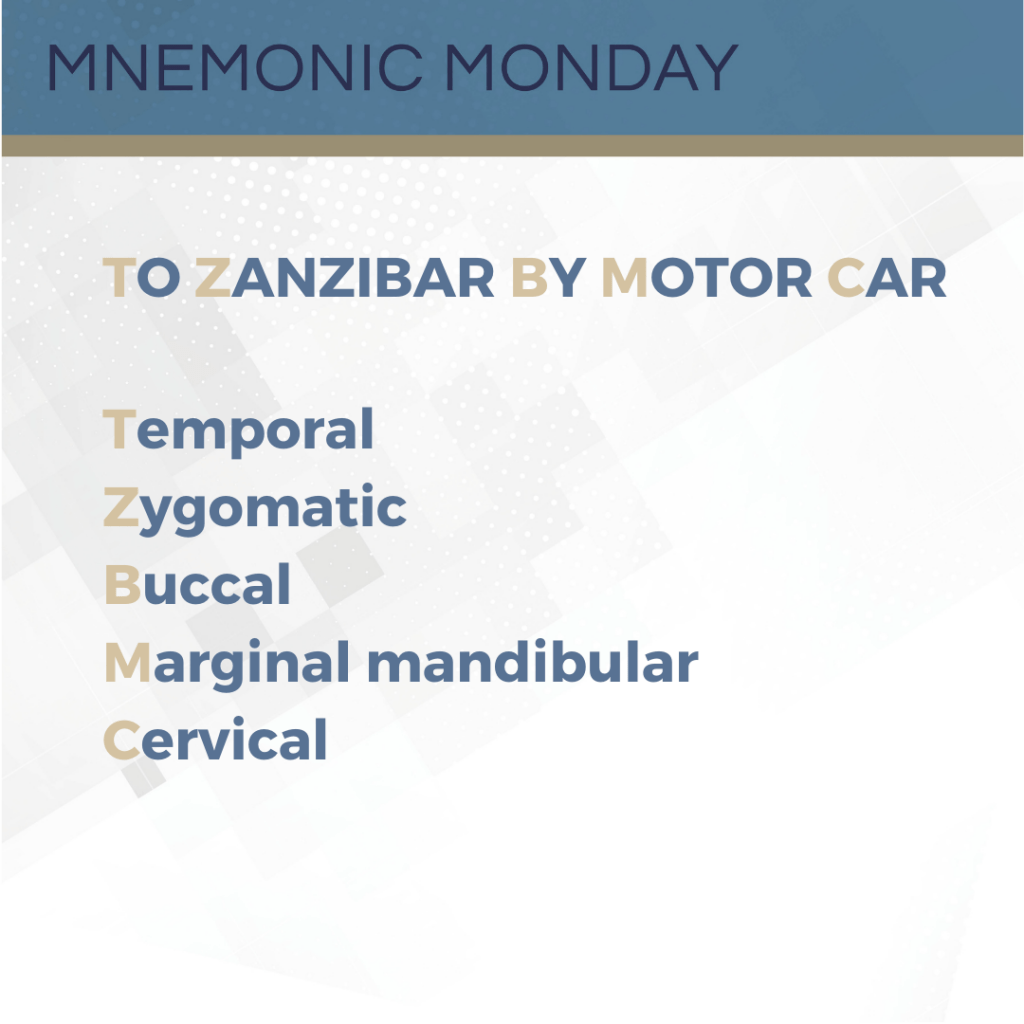It's Mnemonic Monday! To Zanzibar By Motor Car Next Steps in Dermatology