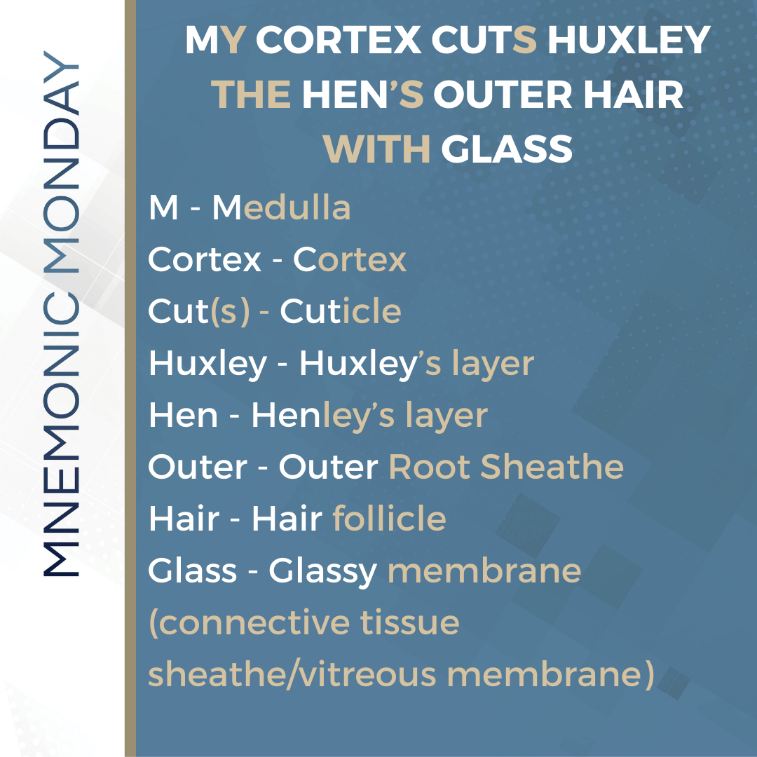It's Mnemonic Monday! Hair Follicle Layers Next Steps in Dermatology