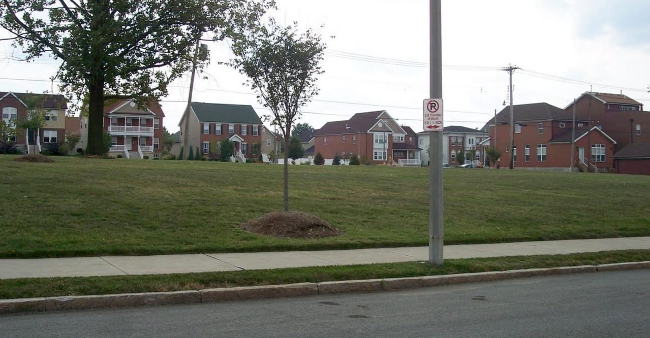 Groth Guide to Botanical Heights NextSTL