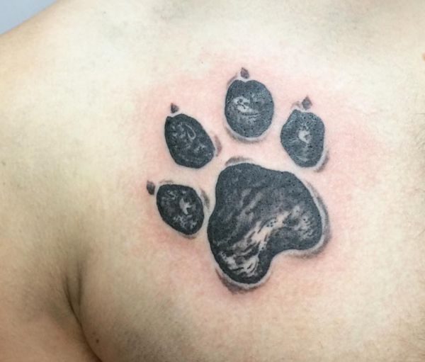 33 paws tattoo concepts photos and that means » Nexttattoos