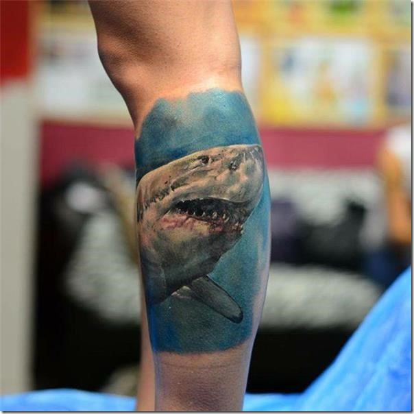 Sharks Tattoos (The Most Effective Footage!) - Nexttattoos 604_x_604_jpg