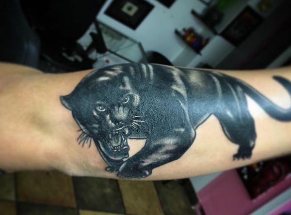 Panther Tattoos And Their Meanings - Nexttattoos 444_x_600_jpg