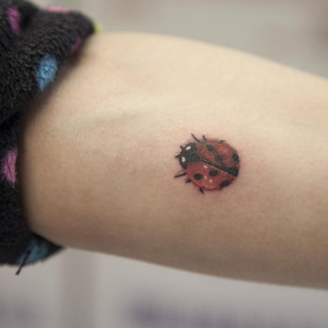 50 Tattoos of Ladybugs Nexttattoos