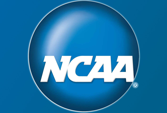 Ncaa Softball Approved Bat List 2023 Update Made To Ncaa Approved Softball Bat List