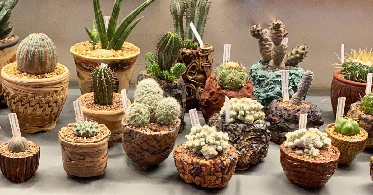 FRIENDS OF SAN LUIS OBISPO BOTANICAL GARDEN Art in the Garden Spring 2023