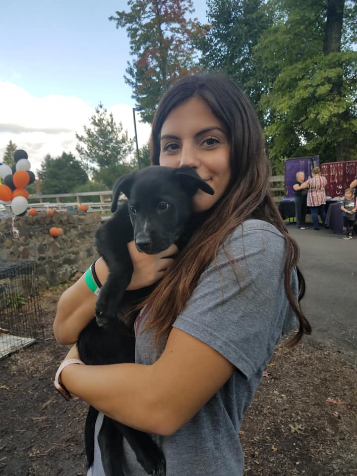 Common Sense for Animals A New Jersey NonProfit Corporation LUCK