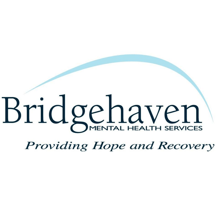 Bridgehaven Inc Bridgehaven/Solutions Bridge to Light Awards