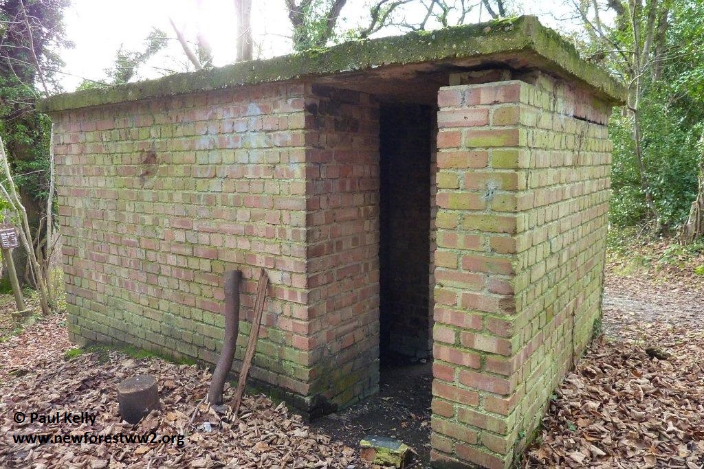 Badminston Common New Forest Knowledge