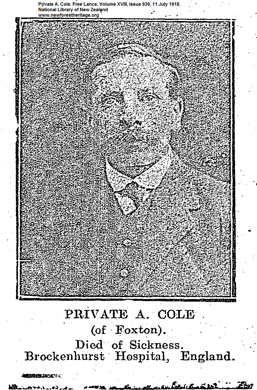 First World War Newspapers National Library of New Zealand online