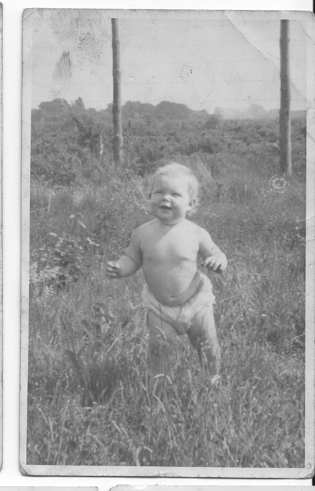 Setley POW Camp Post war civilian occupation New Forest Knowledge