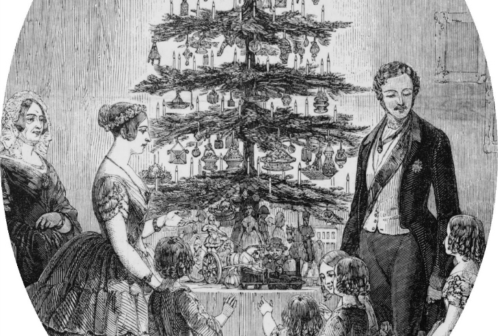 A New Forest Christmas Tree New Forest Knowledge