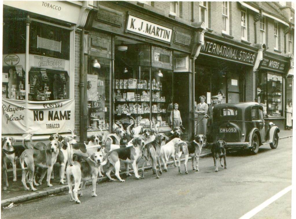 Buckhound on exercise in Brockenhurst High Street New Forest Knowledge
