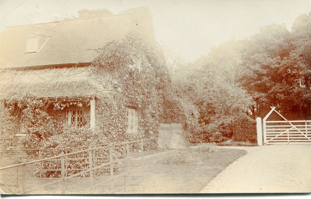 House in Brook? New Forest Knowledge