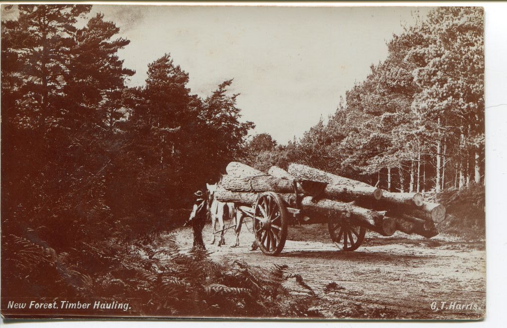 New Forest timber hauling GT Harris New Forest Knowledge