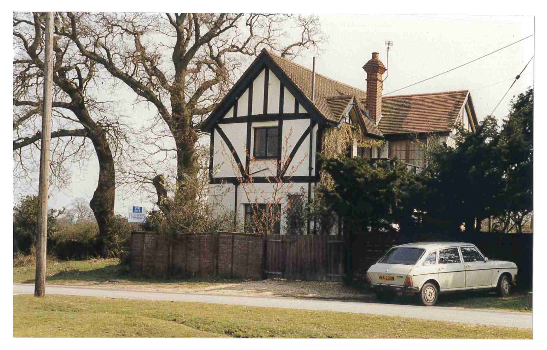 Frank Whittington’s Forest Toys New Forest Knowledge