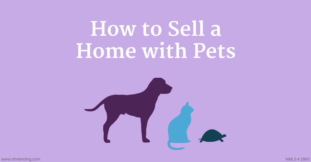 How to Sell a Home with Pets NFM Lending