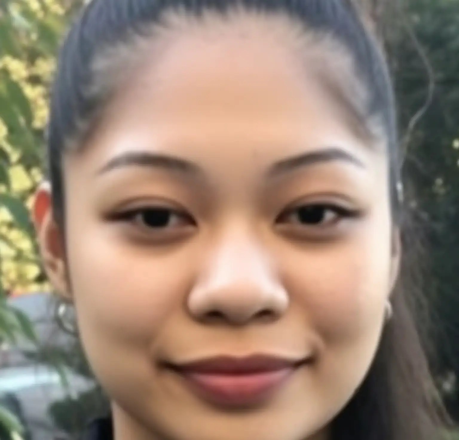 The Search for Aiana Lydia Dominguez A Family’s Desperate Plea(03)