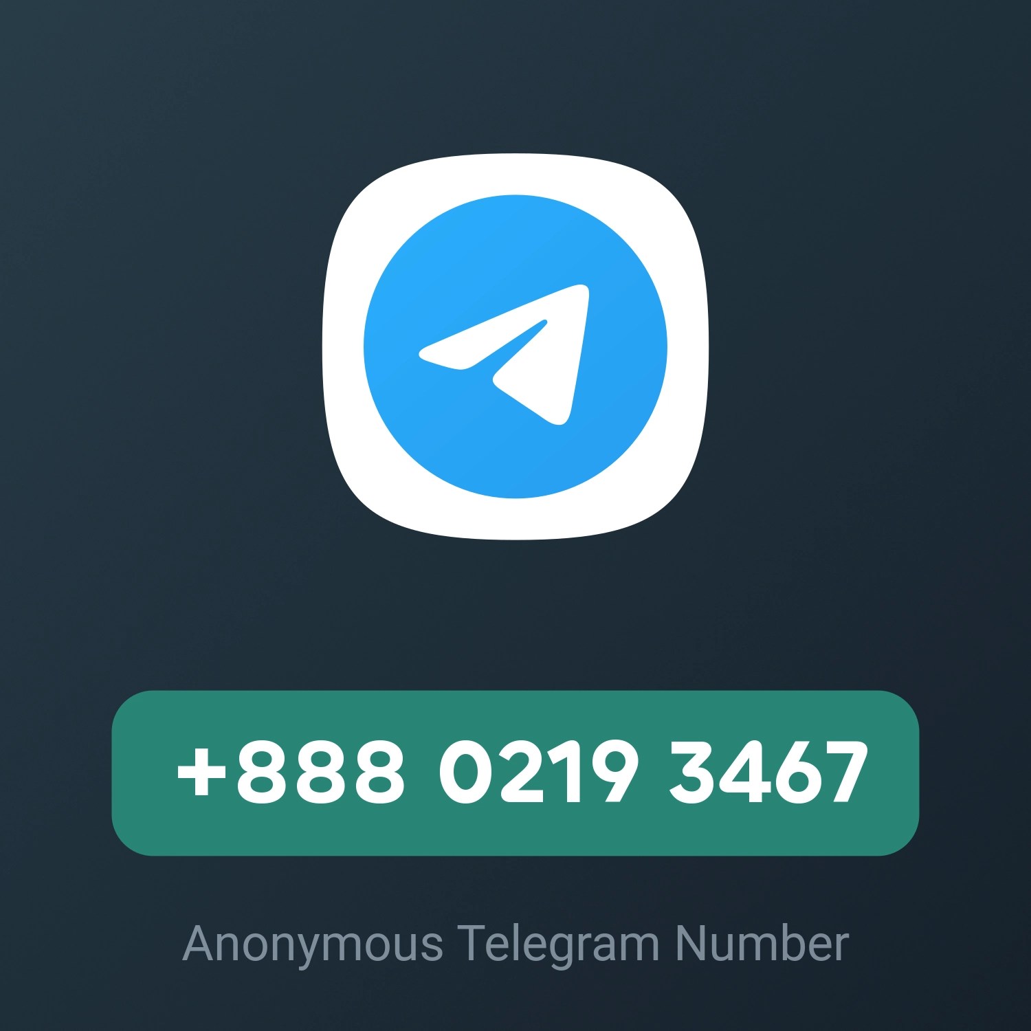 +888 0219 3467 – Fragment