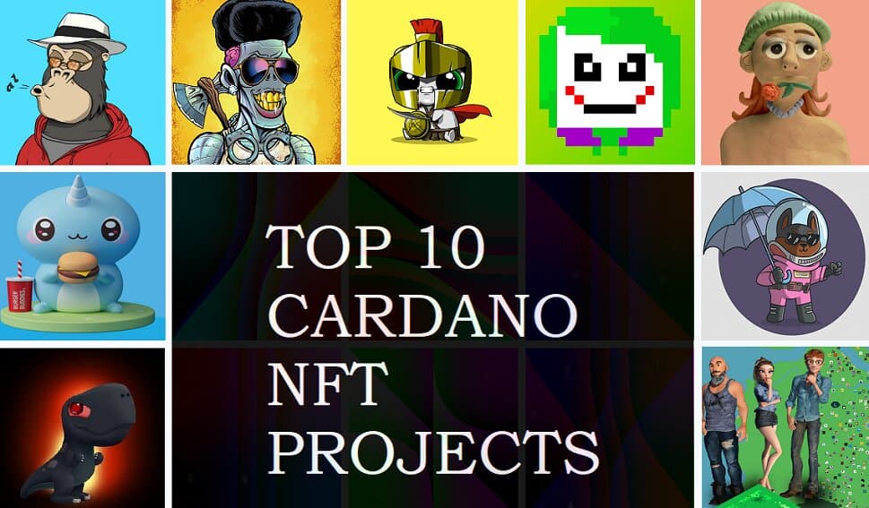 Best Cardano NFT Projects With Collection in 2023 Nftcrypto.io