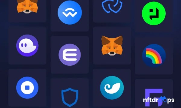 The Best NFT Wallets to Use in 2022 NFT Droops