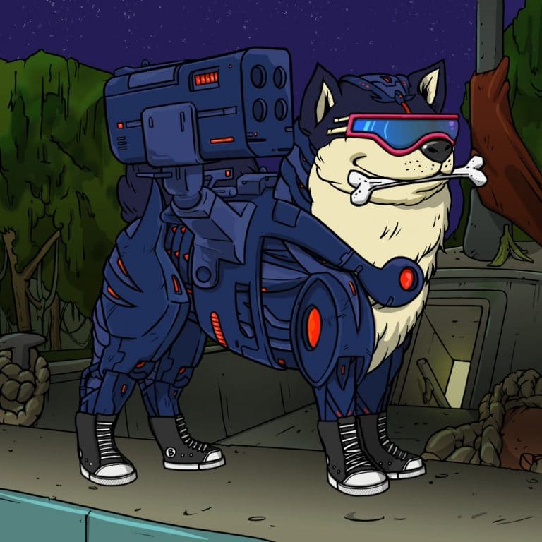 Bored Ape Yacht Club (BAYC) NFT Why are Ape jpegs in?