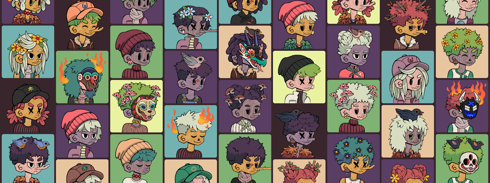 Which PFP Project is Right for You?