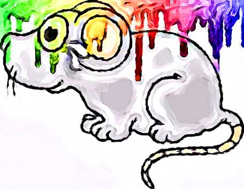 5 Cara Alami Mengatasi Tikus di Rumah Ngaji Galileo