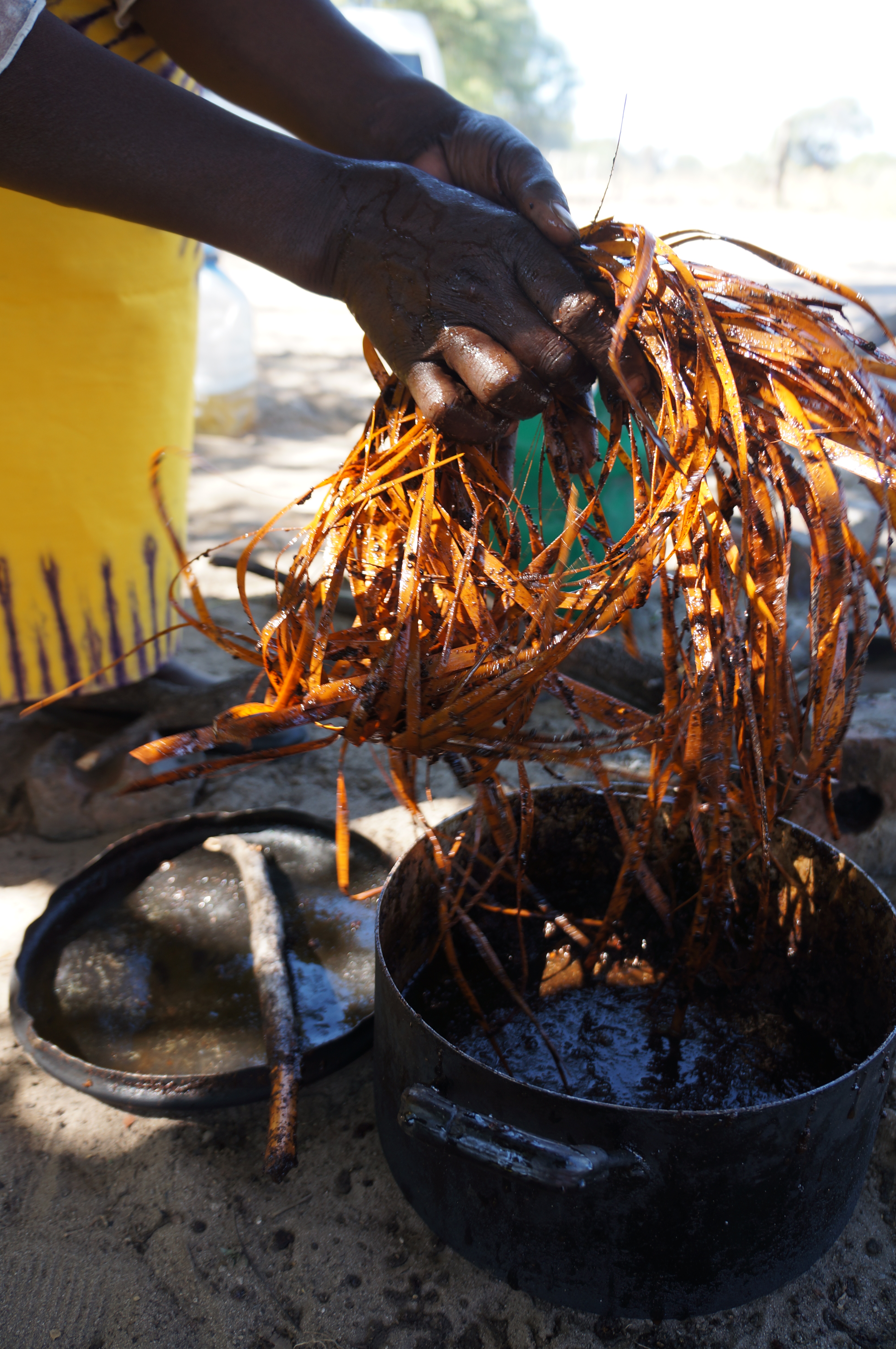 Dyied palm leaves Our Livelihood Our Heritage Our Pride