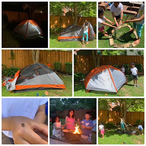 Whole wheat animal crackers Nga's cuisine