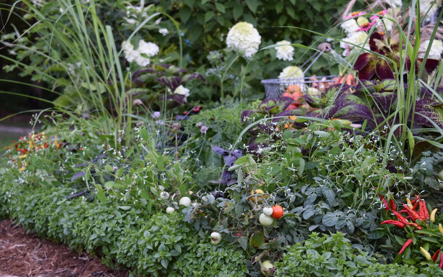 The Foodscape Revolution Just Plant the Edge! National Garden Bureau
