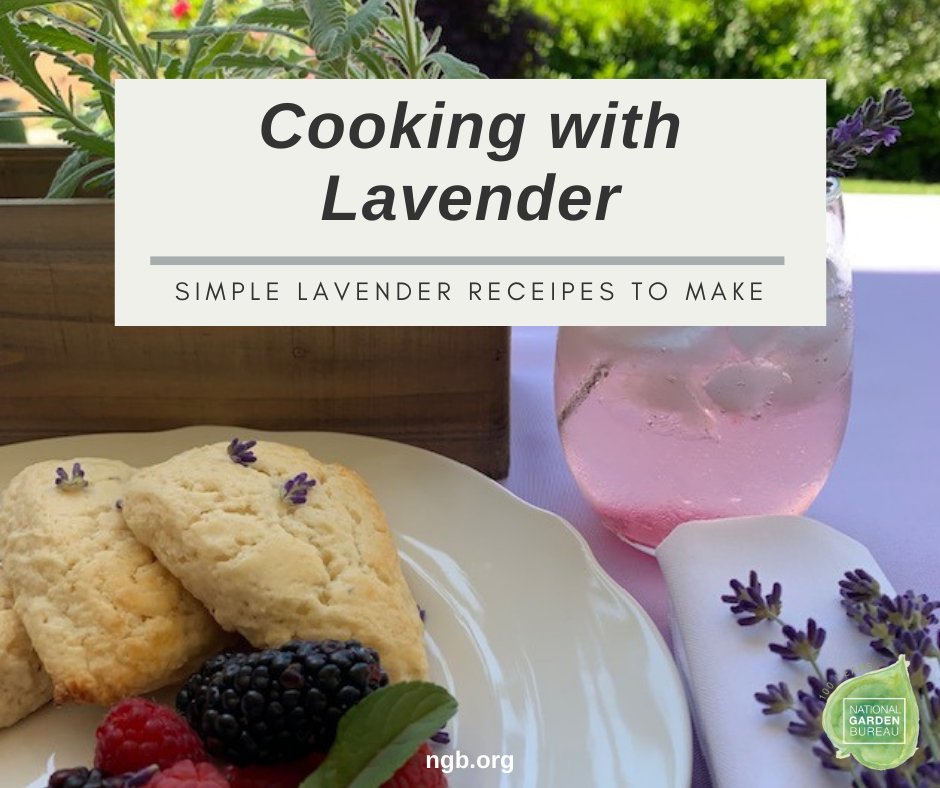 Cooking with Lavender National Garden Bureau lavender cooking