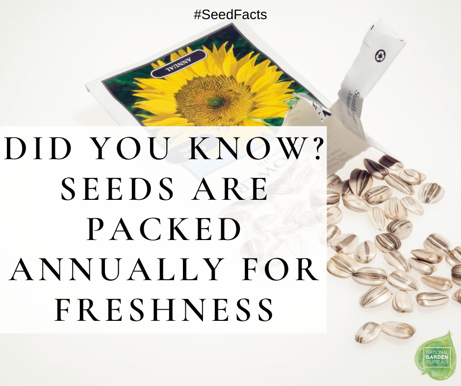 Seed Facts for Informed Buyers Plant Something Oregon