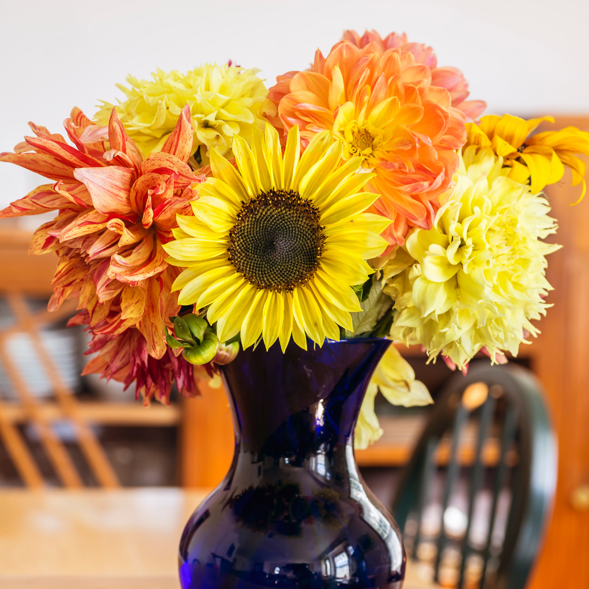 fall cut flowers National Garden Bureau