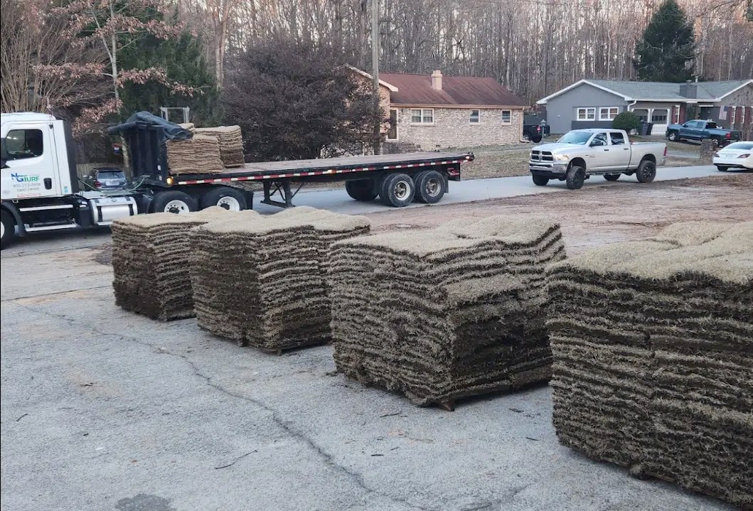 Off Season Sod Installation & Care Recommendations - NG Turf
