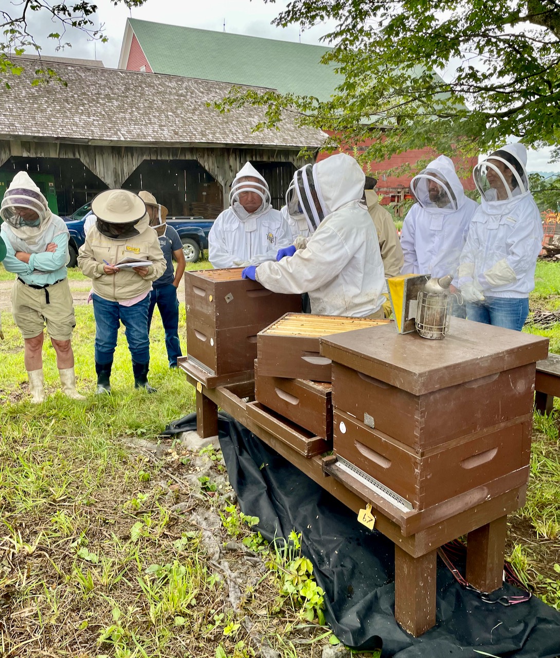 Beekeeping in New Gloucester Open Hive Day at Shaker Village NGXchange