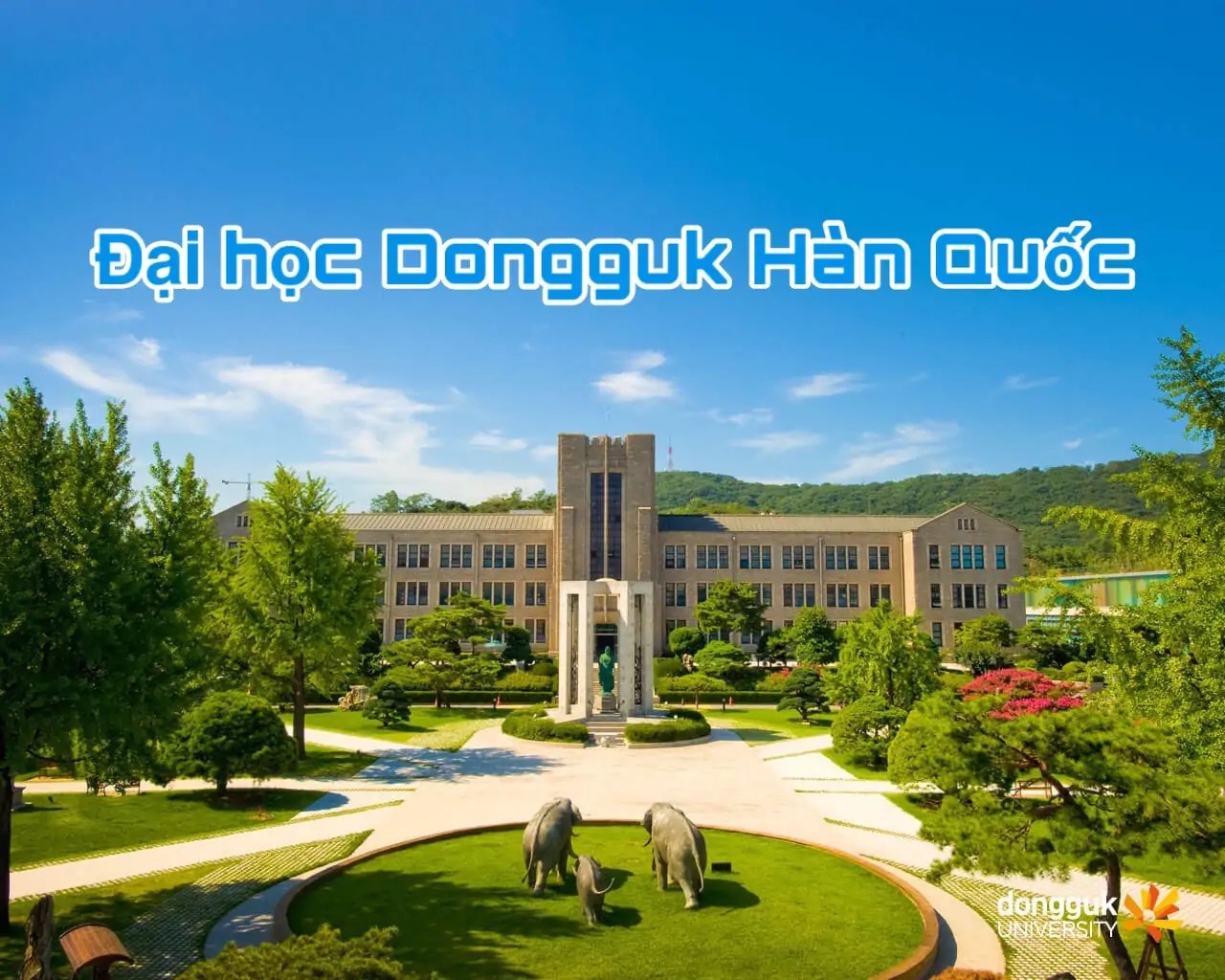 Đại học Dongguk Hàn Quốc Nhân Văn