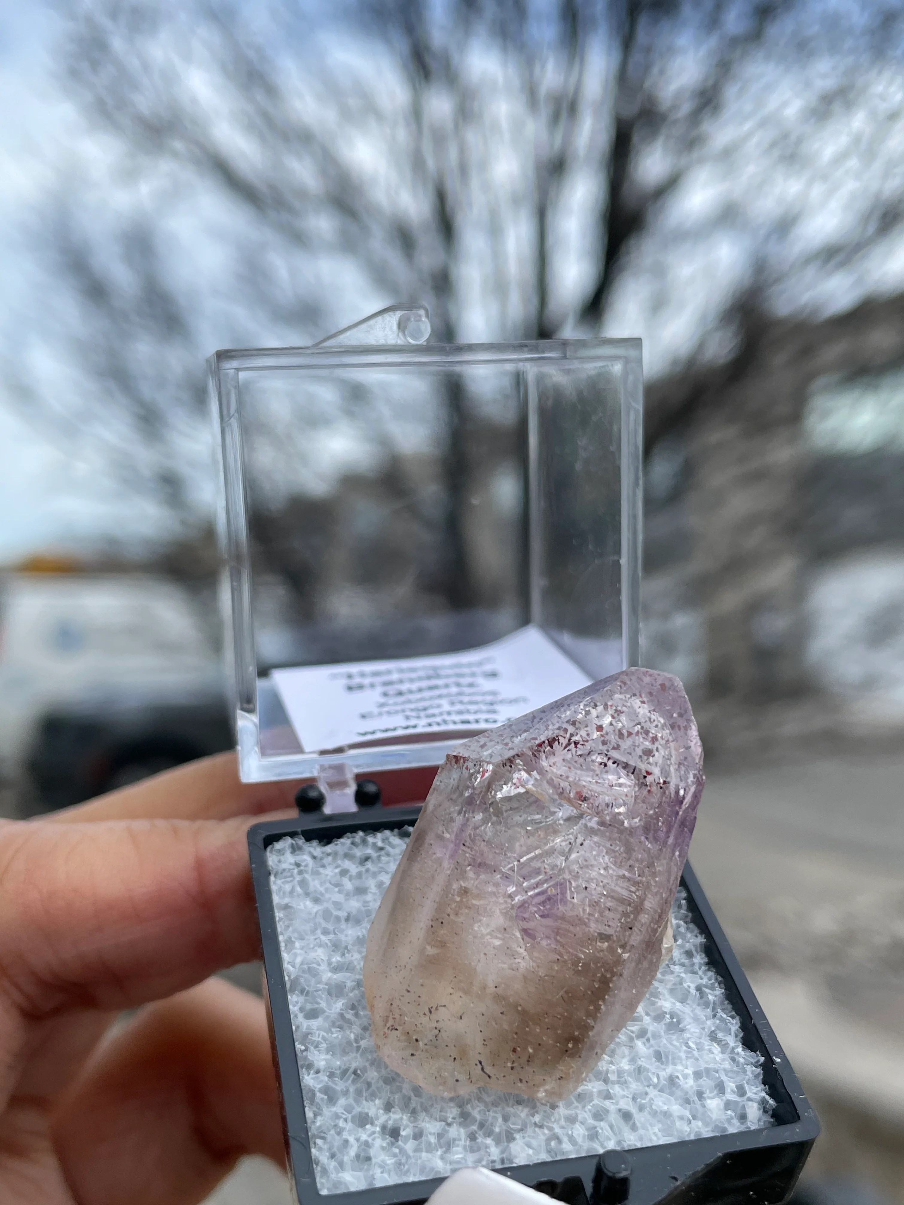 Harlequin Brandberg Quartz, Xoboxobos, Erongo Region Namibia Nharo!