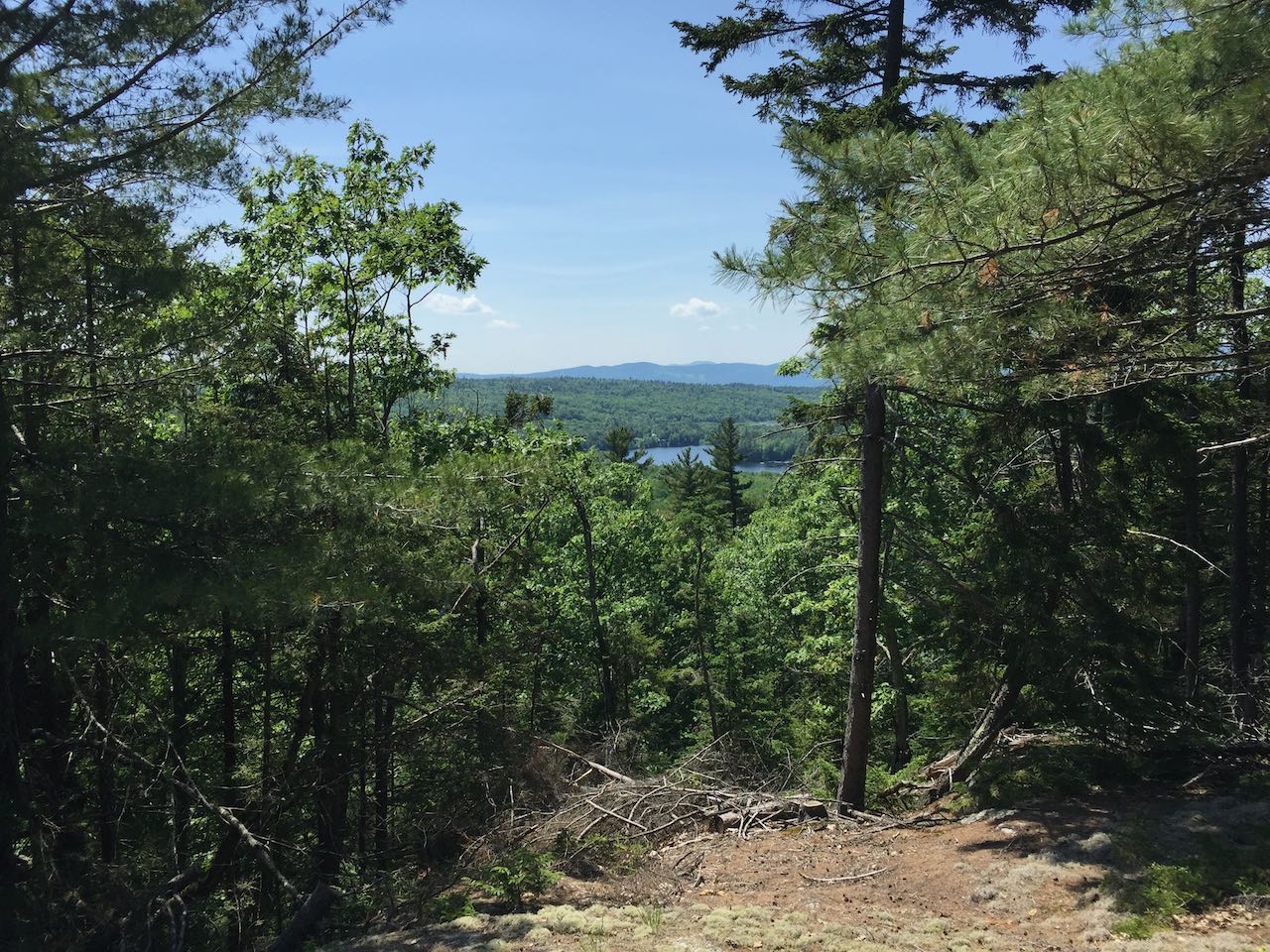 Pitcher Hill NH Family Hikes