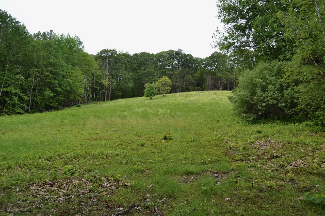 Weeks Woods NH Family Hikes