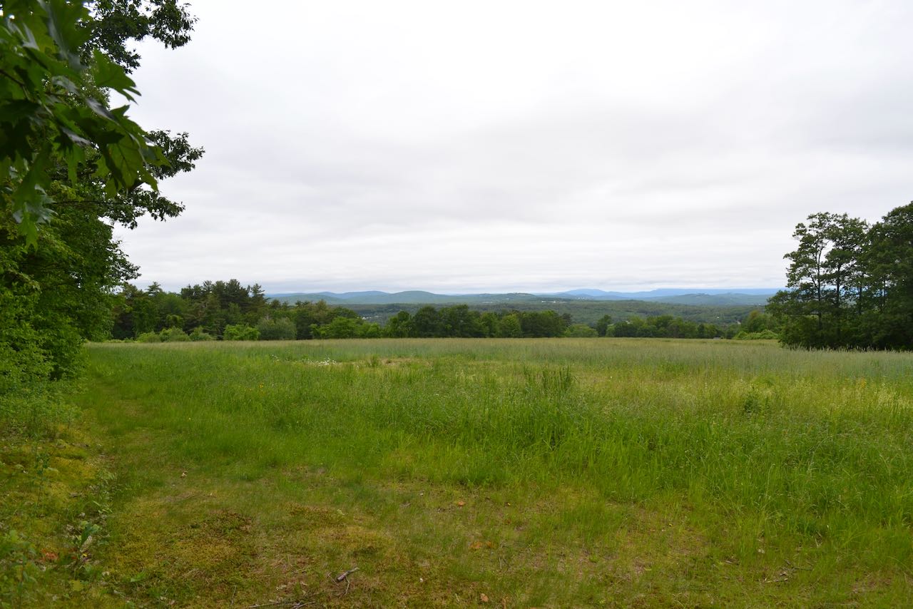 Weeks Woods NH Family Hikes