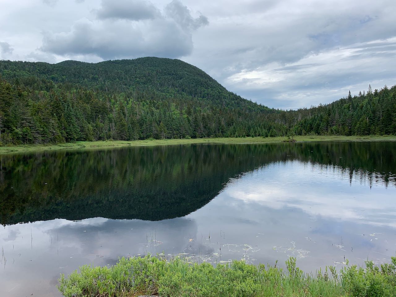 Mt. Wolf NH Family Hikes