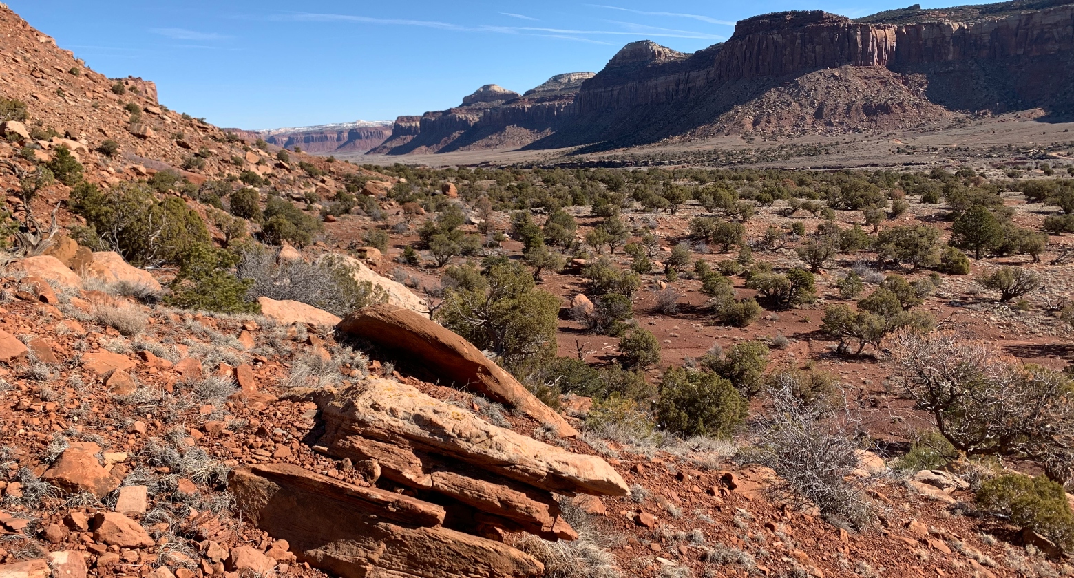 You Found a Fossil. Now What? Natural History Museum of Utah