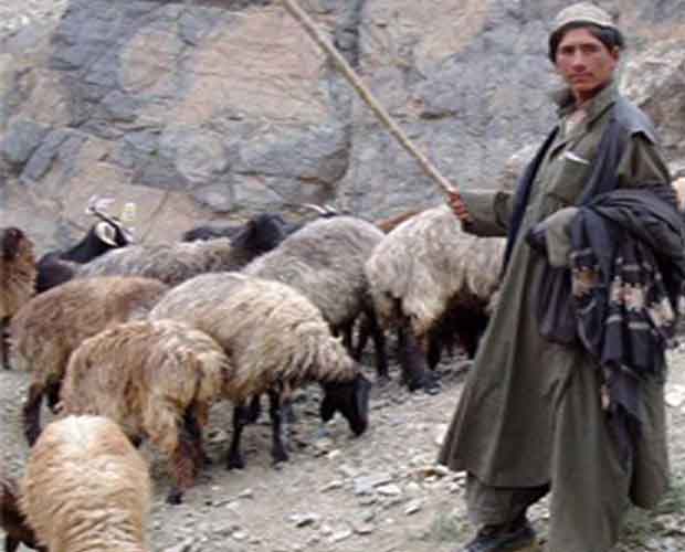 LITTLE RIVER ORIENTAL RUGS