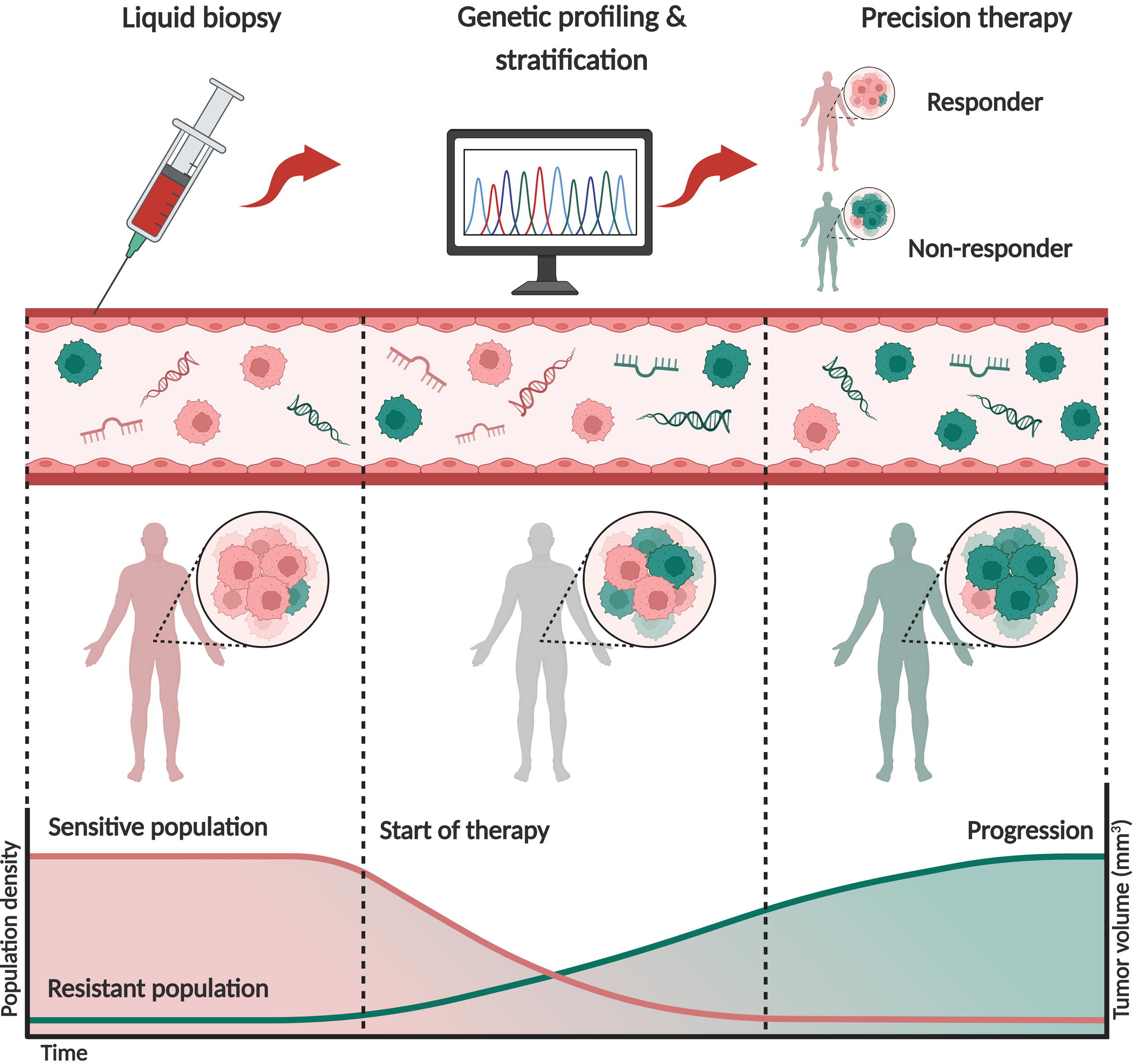 The Role of Liquid Biopsy Biomarkers in Lung Cancer Current and Future