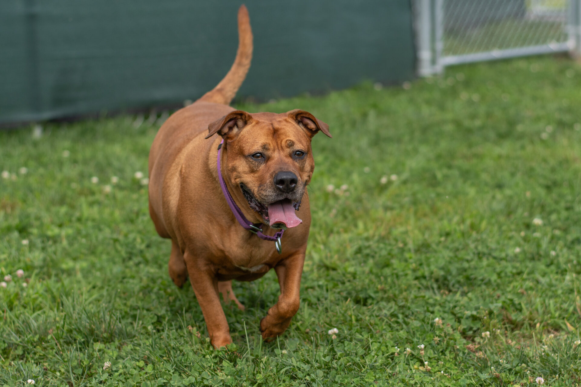 Control Unleashed Level 2, Friday Friday 115pm, January 2024 NHSPCA