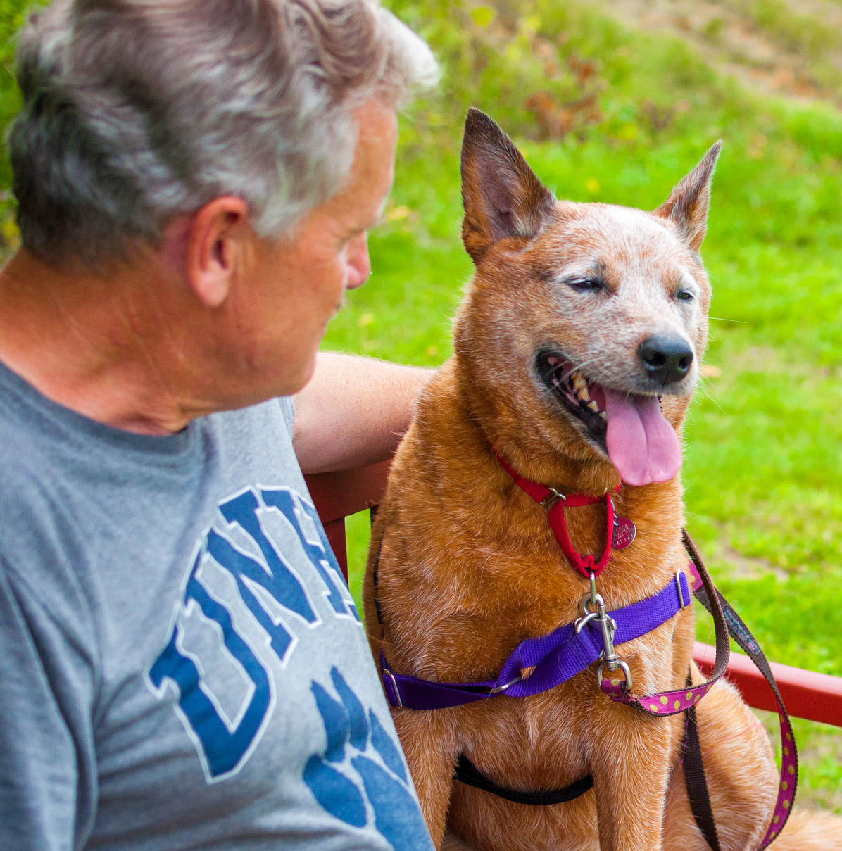 spca summer camp 2023 jo NHSPCA