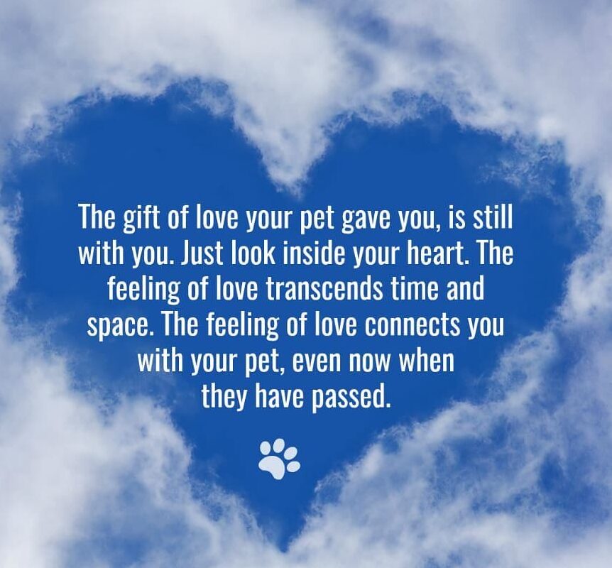 Pet Loss Support NHSPCA