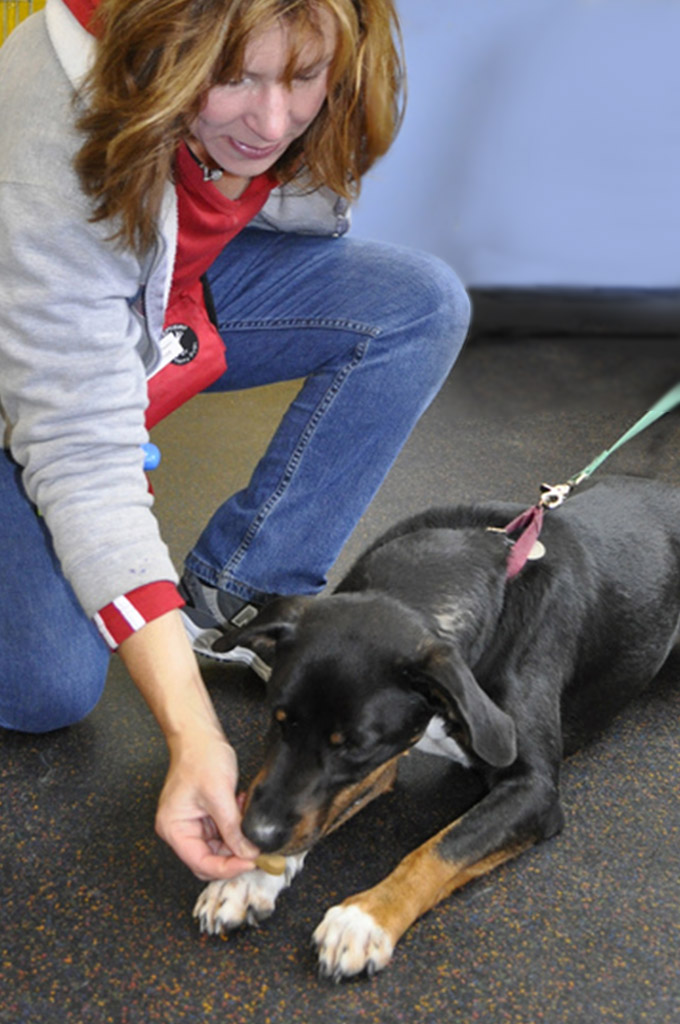 NHSPCA New Hampshire SPCA